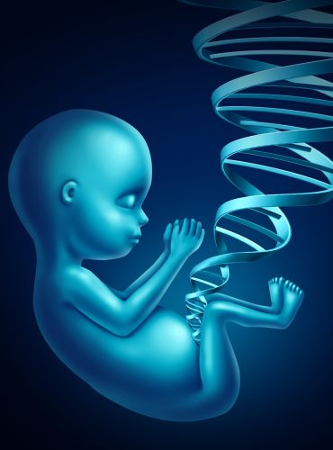 Reconocimiento de Paternidad LegalPro Abogados México